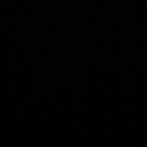 Meet your Posher, Eva